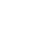 Warehousing Icon