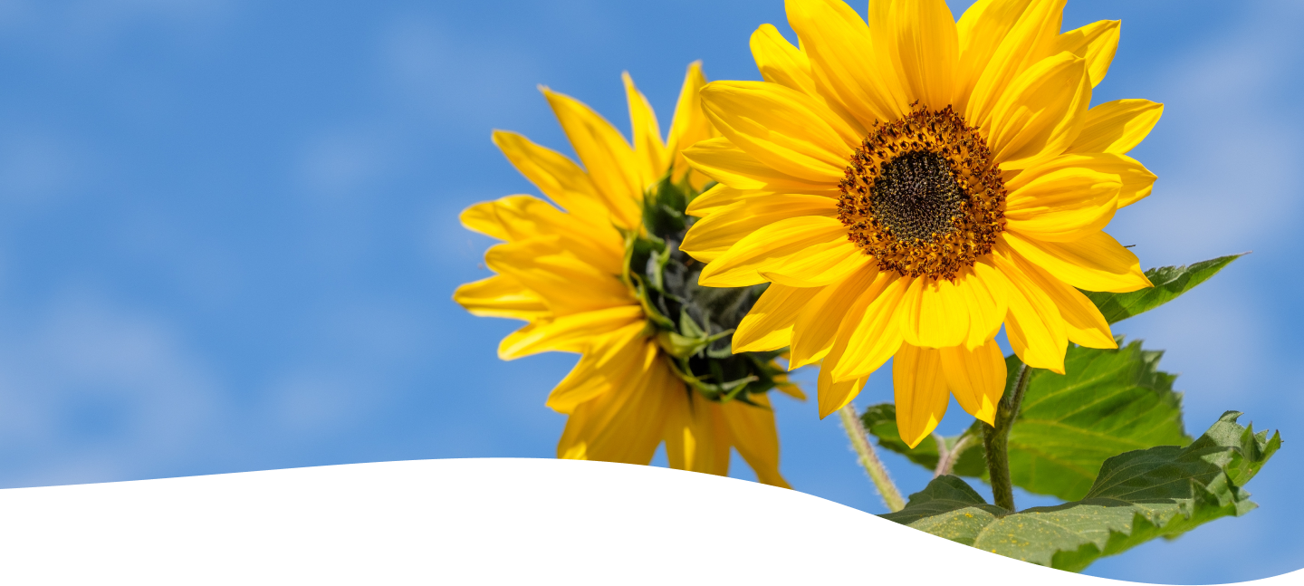 students working on a project