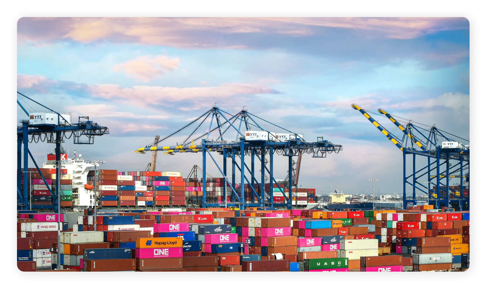 global supply chain