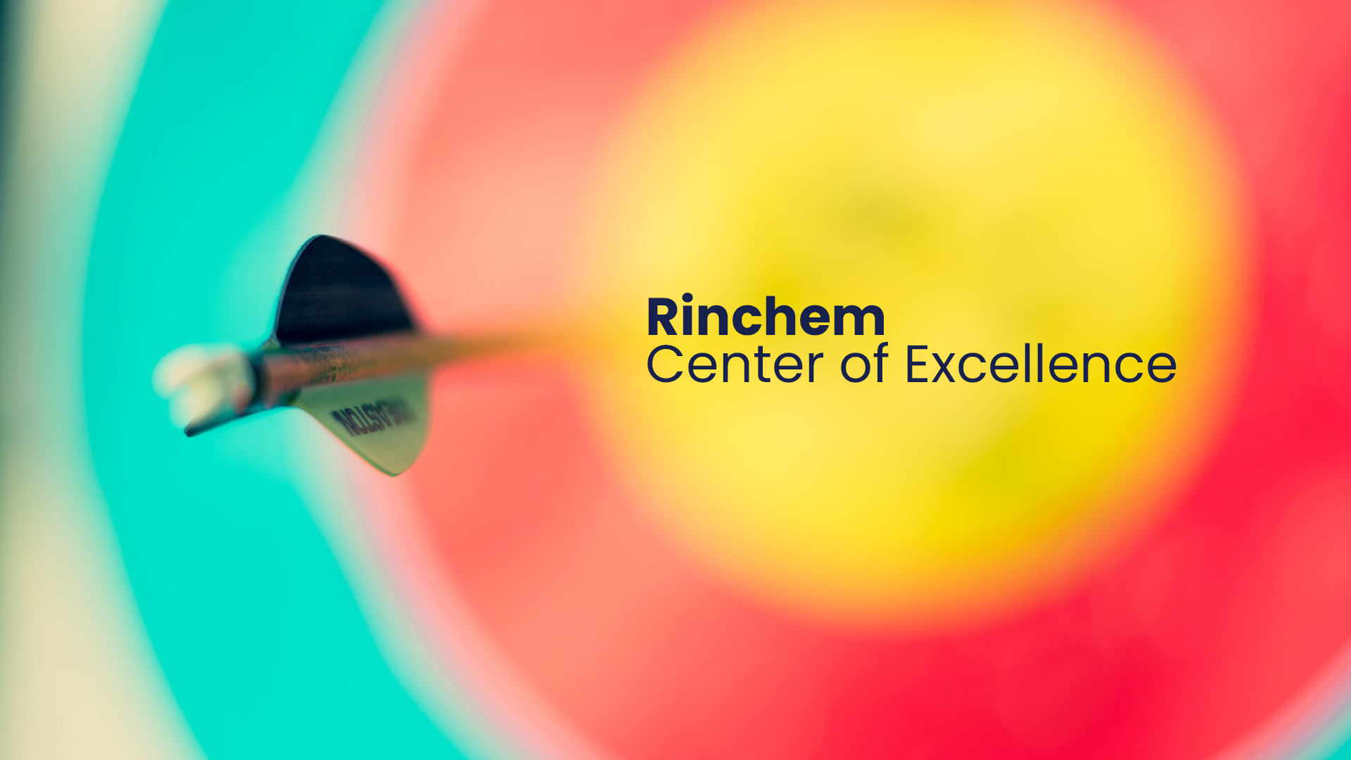 Featured image for “Meet our Center of Excellence Team”
